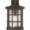 Quoizel Stonington Outdoor Wall Lantern SNN8411PN - alternate 4